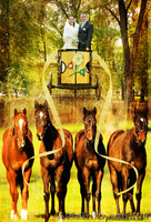 ВНИМАНИЕ АКЦИЯ! Видеосъёмка корпоративов, праздничных мероприятий - <ro>Изображение</ro><ru>Изображение</ru> #2, <ru>Объявление</ru> #126819