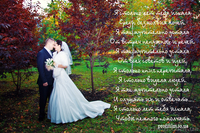 ВНИМАНИЕ АКЦИЯ! Видеосъёмка корпоративов, праздничных мероприятий - <ro>Изображение</ro><ru>Изображение</ru> #3, <ru>Объявление</ru> #126819