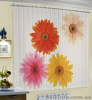 Компания `Urban style` - жалюзи, защитные ролеты, маркизы - <ro>Изображение</ro><ru>Изображение</ru> #5, <ru>Объявление</ru> #134702