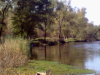 Продам дачу, с. Пискуновка, Славянский район - <ro>Изображение</ro><ru>Изображение</ru> #2, <ru>Объявление</ru> #149019