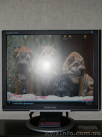 Продам ПК-полный комплект - <ro>Изображение</ro><ru>Изображение</ru> #1, <ru>Объявление</ru> #139711