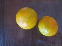 Много разных - плодовые и красивоцветущие - <ro>Изображение</ro><ru>Изображение</ru> #6, <ru>Объявление</ru> #155895