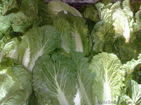  Ф.Х МАЛИНА-К.М - <ro>Изображение</ro><ru>Изображение</ru> #8, <ru>Объявление</ru> #183400