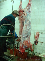 Мясоперерабатывающий комплекс (бойня) - <ro>Изображение</ro><ru>Изображение</ru> #2, <ru>Объявление</ru> #208216