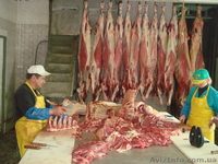 Мясоперерабатывающий комплекс (бойня) - <ro>Изображение</ro><ru>Изображение</ru> #6, <ru>Объявление</ru> #208216