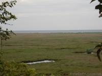 reklama-kurier@mail.ru  097-226-58-43 Сергей - <ro>Изображение</ro><ru>Изображение</ru> #3, <ru>Объявление</ru> #224287