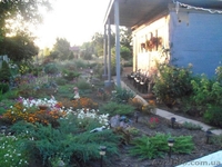 Продам жилой дом в курортном г Новоазовск 50 м от Азовского моря  - <ro>Изображение</ro><ru>Изображение</ru> #4, <ru>Объявление</ru> #395512