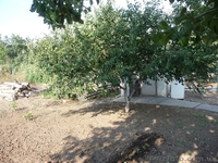 Продам дом в Пролетарском районе - <ro>Изображение</ro><ru>Изображение</ru> #10, <ru>Объявление</ru> #385598