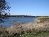 Продам участок , Волновахский район, с. Андреевка - <ro>Изображение</ro><ru>Изображение</ru> #3, <ru>Объявление</ru> #425976