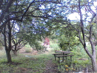 Дачный участок в Пролетарском районе - <ro>Изображение</ro><ru>Изображение</ru> #4, <ru>Объявление</ru> #430644