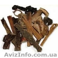 лакомства для собак - <ro>Изображение</ro><ru>Изображение</ru> #1, <ru>Объявление</ru> #515747