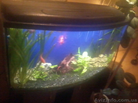 Продам аквариум Донецк 200 литров б/у - <ro>Изображение</ro><ru>Изображение</ru> #2, <ru>Объявление</ru> #496289