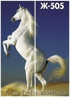 Шкаф-купе двухдверный «А-1» - <ro>Изображение</ro><ru>Изображение</ru> #3, <ru>Объявление</ru> #557930