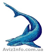 Панно для бассейна (мозаика) - <ro>Изображение</ro><ru>Изображение</ru> #5, <ru>Объявление</ru> #564219