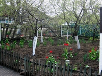 Продам хороший дом с участком - <ro>Изображение</ro><ru>Изображение</ru> #3, <ru>Объявление</ru> #647526