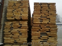 сосна столярная  - <ro>Изображение</ro><ru>Изображение</ru> #2, <ru>Объявление</ru> #653070