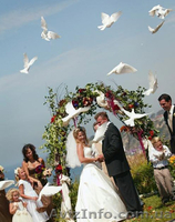 Тили-тили-тесто - <ro>Изображение</ro><ru>Изображение</ru> #10, <ru>Объявление</ru> #684361