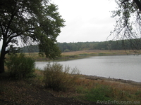 Продажа участков от 2га до 28гектар на берегу озера Песчаный п.Широкий - <ro>Изображение</ro><ru>Изображение</ru> #1, <ru>Объявление</ru> #685686