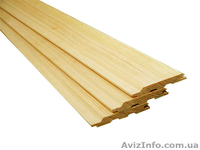 Лиственница сибирская Донецк Украина - <ro>Изображение</ro><ru>Изображение</ru> #1, <ru>Объявление</ru> #153155