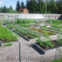 Грядки для органического земледелия. - <ro>Изображение</ro><ru>Изображение</ru> #5, <ru>Объявление</ru> #738147