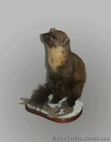 Продам сувеніри, чучела. - <ro>Изображение</ro><ru>Изображение</ru> #1, <ru>Объявление</ru> #756060