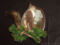 Професійна розробка від 300грн. та підтримка веб-сайтів! - <ro>Изображение</ro><ru>Изображение</ru> #2, <ru>Объявление</ru> #756054