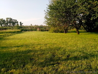 Срочно! Дачный участок с выходом к речке, с домом и садом в с.т. "Энергетик" 12  - <ro>Изображение</ro><ru>Изображение</ru> #2, <ru>Объявление</ru> #750308