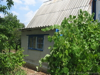 Дачный участок с домом р-н ХОРОШОВО - <ro>Изображение</ro><ru>Изображение</ru> #1, <ru>Объявление</ru> #759089