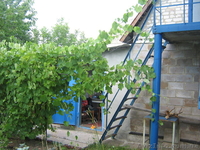 Дачный участок с домом р-н ХОРОШОВО - <ro>Изображение</ro><ru>Изображение</ru> #6, <ru>Объявление</ru> #759089