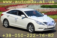 Аренда престижных автомобилей Донецк - <ro>Изображение</ro><ru>Изображение</ru> #1, <ru>Объявление</ru> #788931