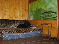 Аренда дачи для семейного отдыха  - <ro>Изображение</ro><ru>Изображение</ru> #6, <ru>Объявление</ru> #222224