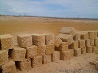 Ракушняк продам ракушечник М-25,м-15.м-35 Доставка в минимальные сроки - <ro>Изображение</ro><ru>Изображение</ru> #2, <ru>Объявление</ru> #838607