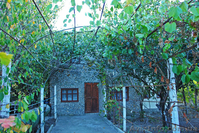 Дача у моря  65 м² пгт. Орджоникидзе 4 сот. Крым Феодосия - <ro>Изображение</ro><ru>Изображение</ru> #2, <ru>Объявление</ru> #841668