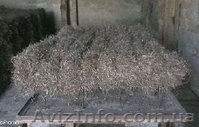 Камка утеплитель крымский из водорослей продажа с доставкой по Днецкой области - <ro>Изображение</ro><ru>Изображение</ru> #2, <ru>Объявление</ru> #838609