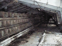 Продам фермерское хозяйство - <ro>Изображение</ro><ru>Изображение</ru> #5, <ru>Объявление</ru> #316482