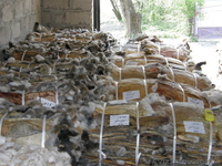 шкурки кролика,фетровые - <ro>Изображение</ro><ru>Изображение</ru> #3, <ru>Объявление</ru> #864928