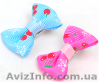 Одежда для собак мелких пород в ассортименте - <ro>Изображение</ro><ru>Изображение</ru> #5, <ru>Объявление</ru> #870991