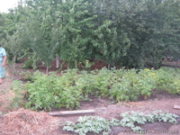 Дом Лен р-н РОВД 25 школа - <ro>Изображение</ro><ru>Изображение</ru> #2, <ru>Объявление</ru> #860576