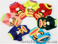 Одежда для собак мелких пород в ассортименте - <ro>Изображение</ro><ru>Изображение</ru> #1, <ru>Объявление</ru> #870991