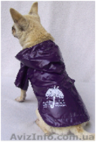 Одежда для собак мелких пород в ассортименте - <ro>Изображение</ro><ru>Изображение</ru> #3, <ru>Объявление</ru> #870991