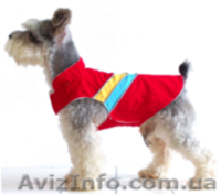 Одежда для собак мелких пород в ассортименте - <ro>Изображение</ro><ru>Изображение</ru> #10, <ru>Объявление</ru> #870991