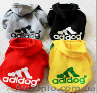 Одежда для собак мелких пород в ассортименте - <ro>Изображение</ro><ru>Изображение</ru> #2, <ru>Объявление</ru> #870991