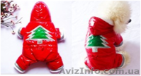 Одежда для собак мелких пород в ассортименте - <ro>Изображение</ro><ru>Изображение</ru> #7, <ru>Объявление</ru> #870991