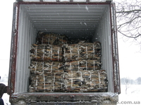 шкурки кролика,фетровые - <ro>Изображение</ro><ru>Изображение</ru> #2, <ru>Объявление</ru> #864928