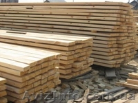 Сибирская Лиственница Донецк - <ro>Изображение</ro><ru>Изображение</ru> #6, <ru>Объявление</ru> #857909