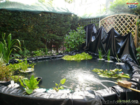 Пленка ПВХ, пленка для пруда, изоляция - <ro>Изображение</ro><ru>Изображение</ru> #4, <ru>Объявление</ru> #892002