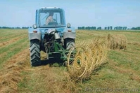 Грабли ворошилка навесные 5-ти колесные - <ro>Изображение</ro><ru>Изображение</ru> #1, <ru>Объявление</ru> #914758