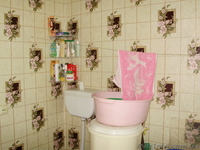 Срочно!!! Продам 1/2 дома Ленинский "РАДУГА"  - <ro>Изображение</ro><ru>Изображение</ru> #8, <ru>Объявление</ru> #918478