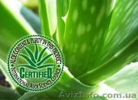 Постройте бизнес с компанией Forever Living Products - <ro>Изображение</ro><ru>Изображение</ru> #3, <ru>Объявление</ru> #912691