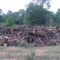 Продается лес, кругляк - <ro>Изображение</ro><ru>Изображение</ru> #3, <ru>Объявление</ru> #934402